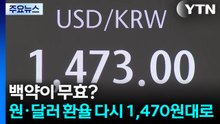 백약이 무효?...원·달러 환율 다시 1,470원대로 / YTN