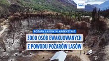 Pożary lasów: ponad dziesięć tysięcy hektarów mogło do tej pory zostać zniszczonych w Patagonii