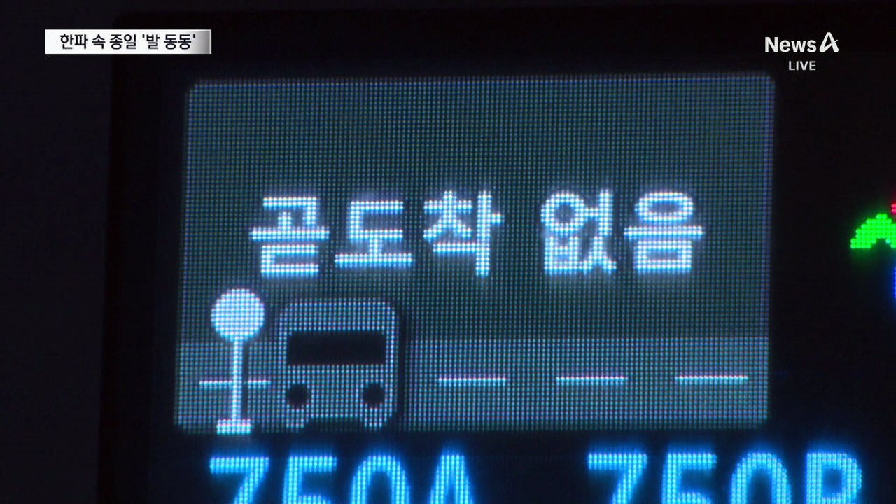 하루종일 멈춘 버스…시민들, 한파 속 ‘발 동동’