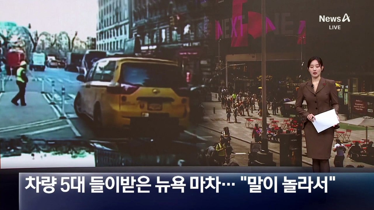 차량 5대 들이받은 뉴욕 마차…“말이 놀라서”