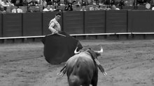 El sensacional inicio de faena que Pablo Aguado recetó el pasado 8 de mayo en La Maestranza. #to