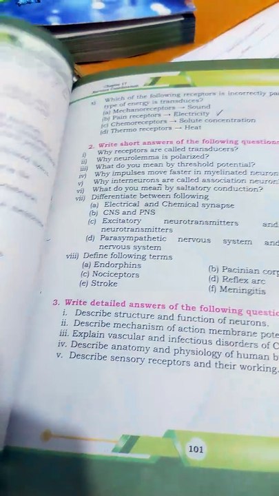chapter 17 nervous coordination class 12 biology test book mcqs solution