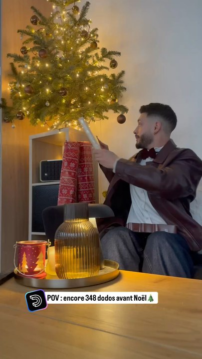 J’avais la flemme de jeter mon sapin..