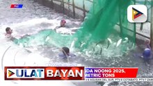 Produksyon ng isda noong nakaraang taon, umabot sa 4MMT, ayon sa BFAR