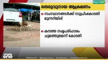 തെരുവ് നായ ആക്രമണമുണ്ടായാൽ സംസ്ഥാനങ്ങൾക്ക് കനത്ത നഷ്ടപരിഹാരം..