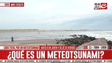 Impredecible y letal: experta en océanos cuenta de que se trata el fenómeno que afectó a la costa bonaerense