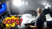 Rottweiler refuses to cooperate as dad tries to dry her after a bath