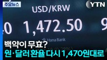 백약이 무효?...원·달러 환율 다시 1,470원대로 / YTN