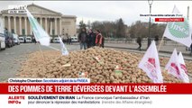 Colère agricole: les Parisiens invités par les agriculteurs à se servir dans les 20 tonnes de pommes de terre déversées devant l'Assemblée nationale