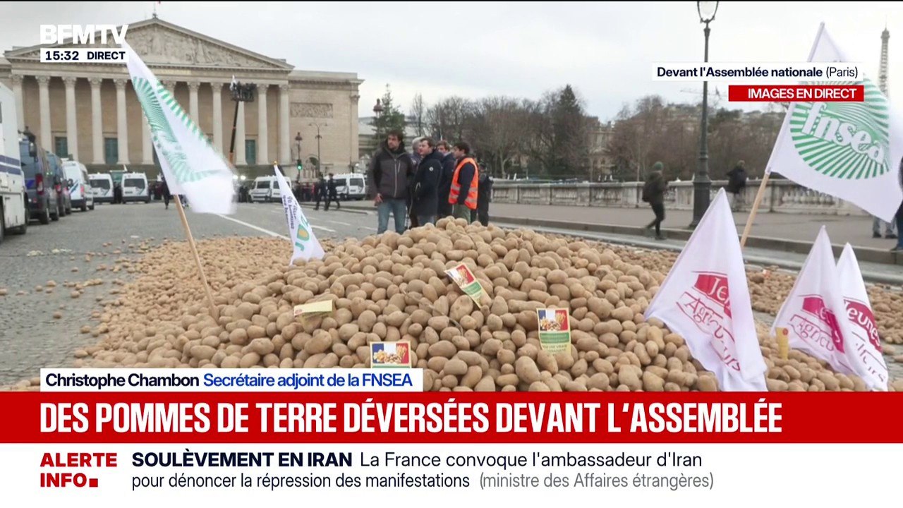 Colère agricole: les Parisiens invités par les agriculteurs à se servir dans les 20 tonnes de pommes de terre déversées devant l'Assemblée nationale