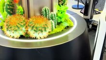 Lo nuevo de Dreame que llegará a México