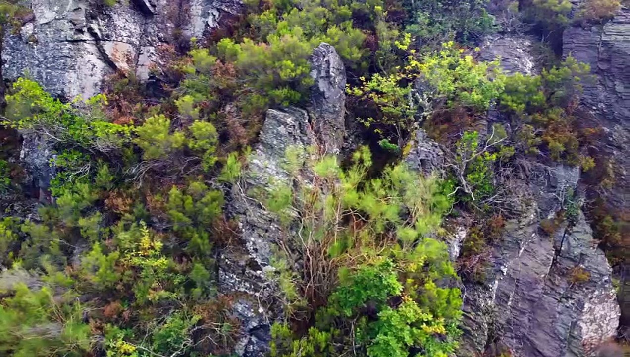 Magia Fluviale Sorvolando Il Rio Ahio Un Viaggio Tra natura e storia🗿 (1° Ep.)