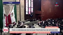 Piden pluralidad en reforma electoral desde el Congreso | DPC con Poala Rojas