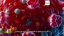 Europa afronta una expansión más rápida de lo habitual de la gripe este invierno