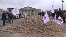 Colère des agriculteurs : des pommes de terre sont disposées sur le pont devant l'Assemblée nationale