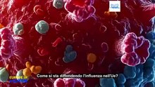 Influenza: come si sta diffondendo nell'Ue e cosa stanno facendo i Paesi per contrastarla