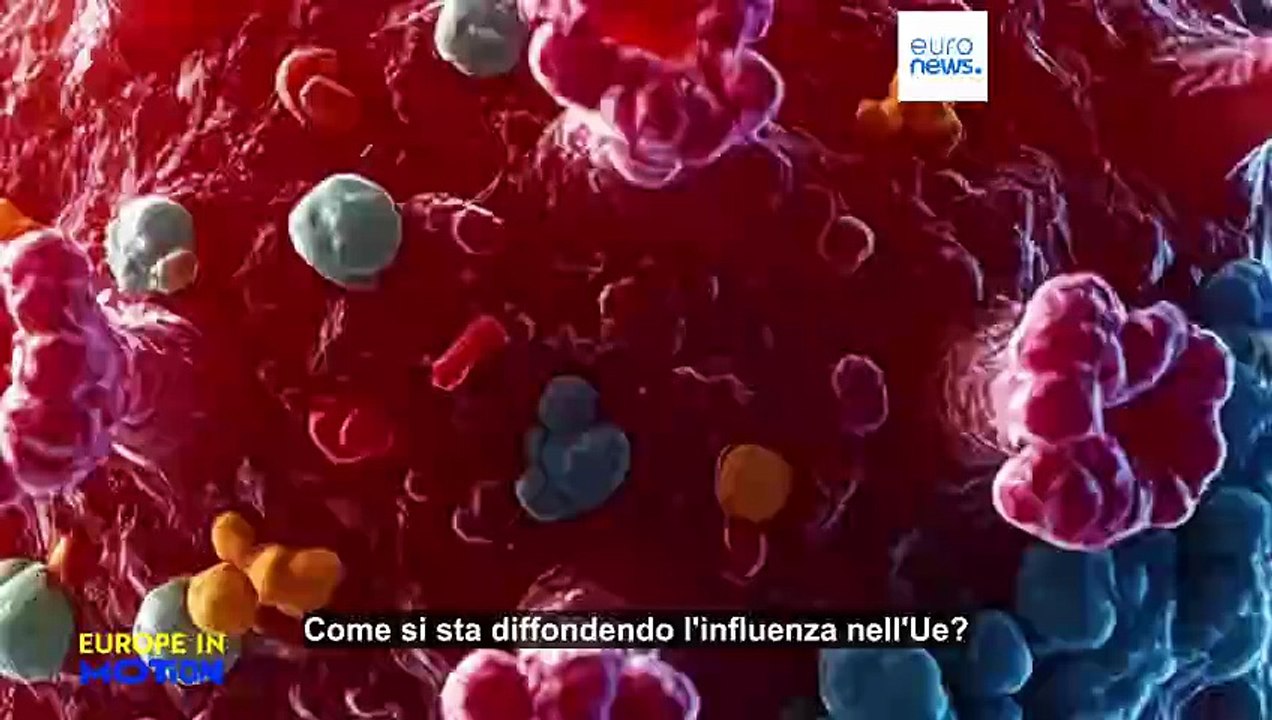 Influenza: come si sta diffondendo nell'Ue e cosa stanno facendo i Paesi per contrastarla