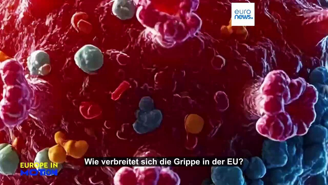Grippesaison: Wie breitet sie sich in der EU aus und was tun die Länder dagegen?