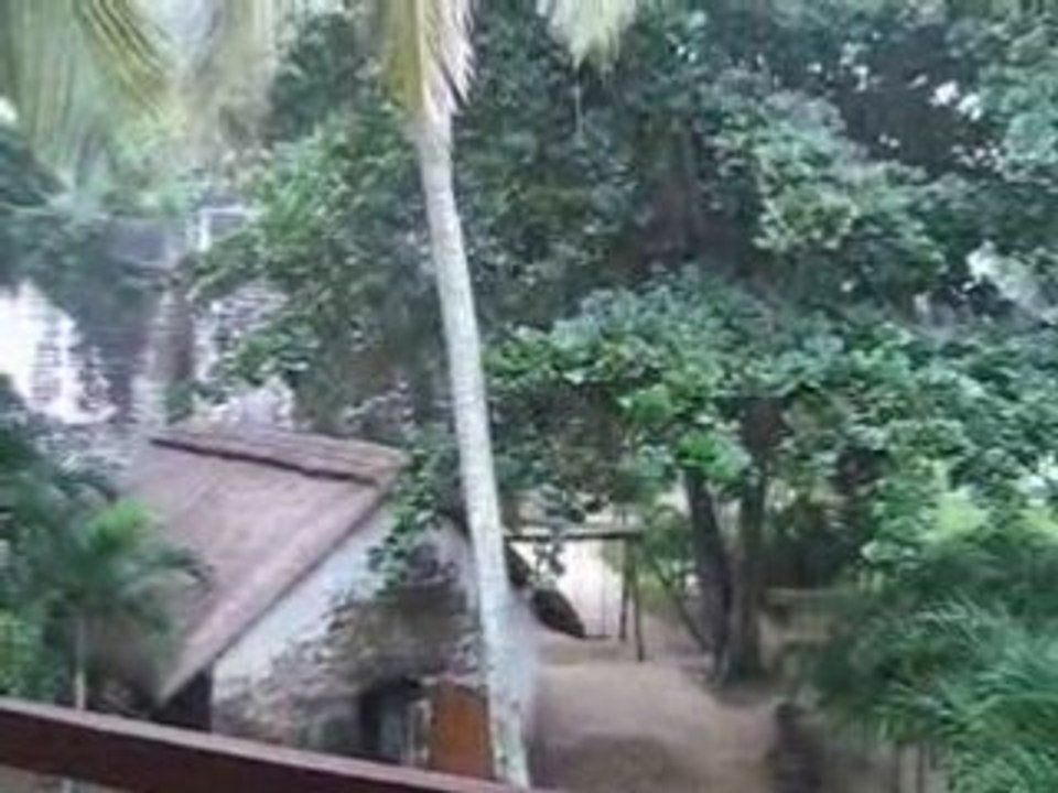 Il pleut aussi à l'ile Maurice