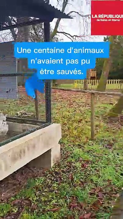 "Plus dans nos moyens" : dix ans après la crue, quel avenir pour cet ancien parc animalier ?