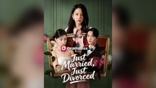 Just Married, Just Divorced Full Chinsese Drama