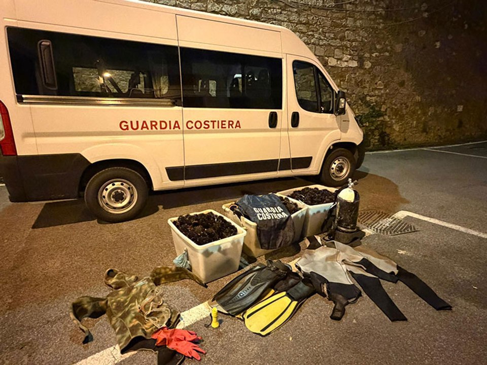 Capitaneria di porto, guerra alla pesca abusiva di ricci di mare
