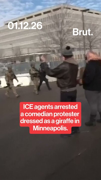 ICE agents arrest protester dressed as a giraffe.