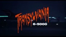 Transylvania 6-5000