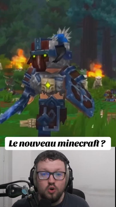 LE NOUVEAU MINECRAFT