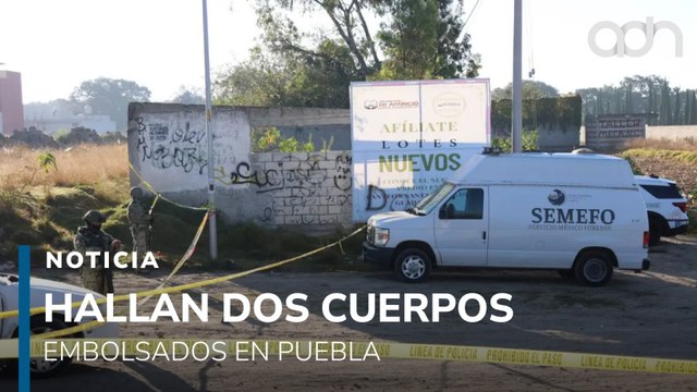 Hallan dos cuerpos embolsados en San Sebastián Aparicio, Puebla