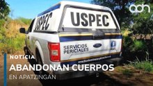Abandonan seis cuerpos con heridas por bala en Apatzingán; hay menores