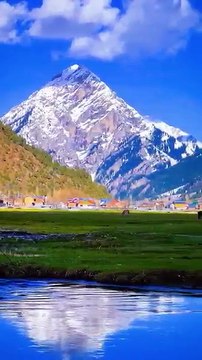 Natural vibes ❤️ #mountains #nature #pahalgam #travel #love #kashmir #sonmarg #valley #gulmarg