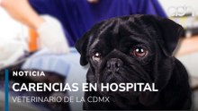 Trabajadores del hospital veterinario de la CDMX denuncian abandono y falta de recursos