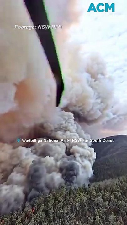 Bushfires in NSW and Victoria seen from space