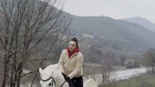 professional horse control