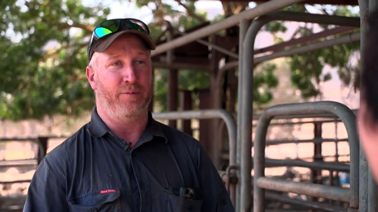 Frustrations setting in as farmers across Victoria begin picking up the pieces after bushfires