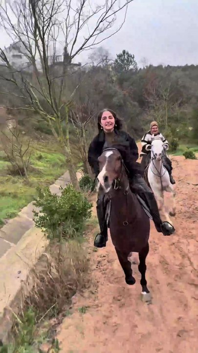 Riding a horse wildly in the forest