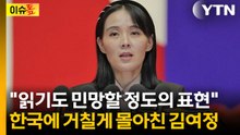 "북한, 입장 발표로 끝나지 않을 듯"...표현 보고 우려한 전문가 [이슈톺] / YTN