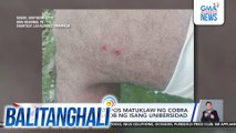 Lalaki, ligtas matapos matuklaw ng cobra sa damuhan ng loob ng isang unibersidad | Balitanghali