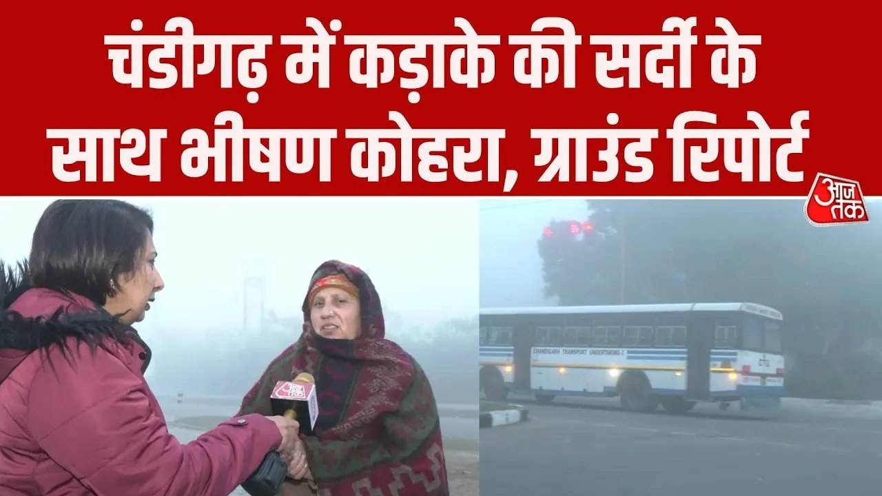 चंडीगढ़ में कड़ाके की सर्दी के साथ छाया घना कोहरा, देखिए ग्राउंड रिपोर्ट