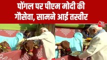 पूजा-अर्चना, की गौ सेवा....PM मोदी ने कुछ इस अंदाज में मनाया पोंगल पर्व; देखें