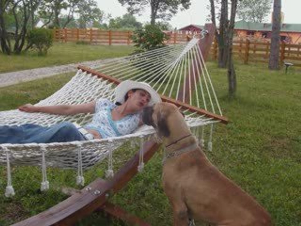 Perfect Day