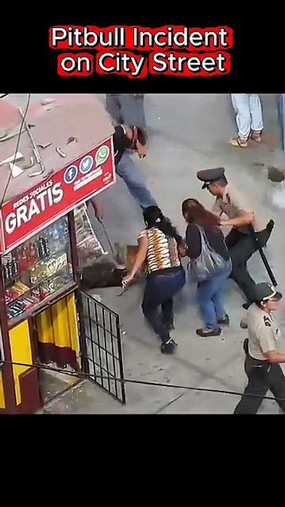 Pitbull_Incident_Quick_Action_Prevents_Worse_Outcome_720P