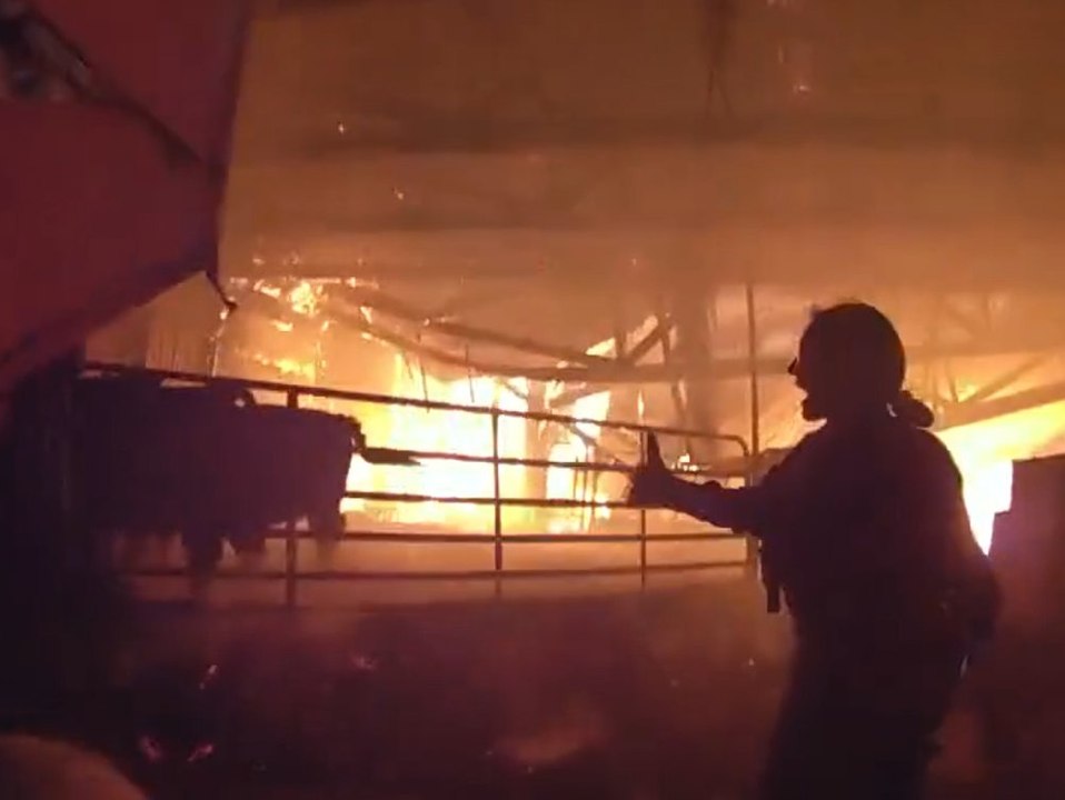 In letzter Sekunde: Polizei holt Kühe aus Flammenhölle