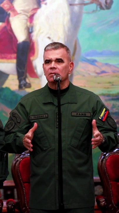 9401 Compañía Comando.