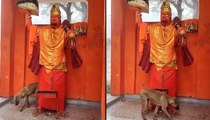Dog Performs Parikrama at Hanuman Temple, Video Goes Viral