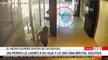 Indignación: un hombre le pegó salvajemente a un perro porque le ladró a su hija en el hall de un edificio