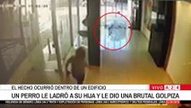 Indignación: un hombre le pegó salvajemente a un perro porque le ladró a su hija en el hall de un edificio