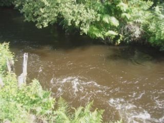Photos des Landes mai 2008