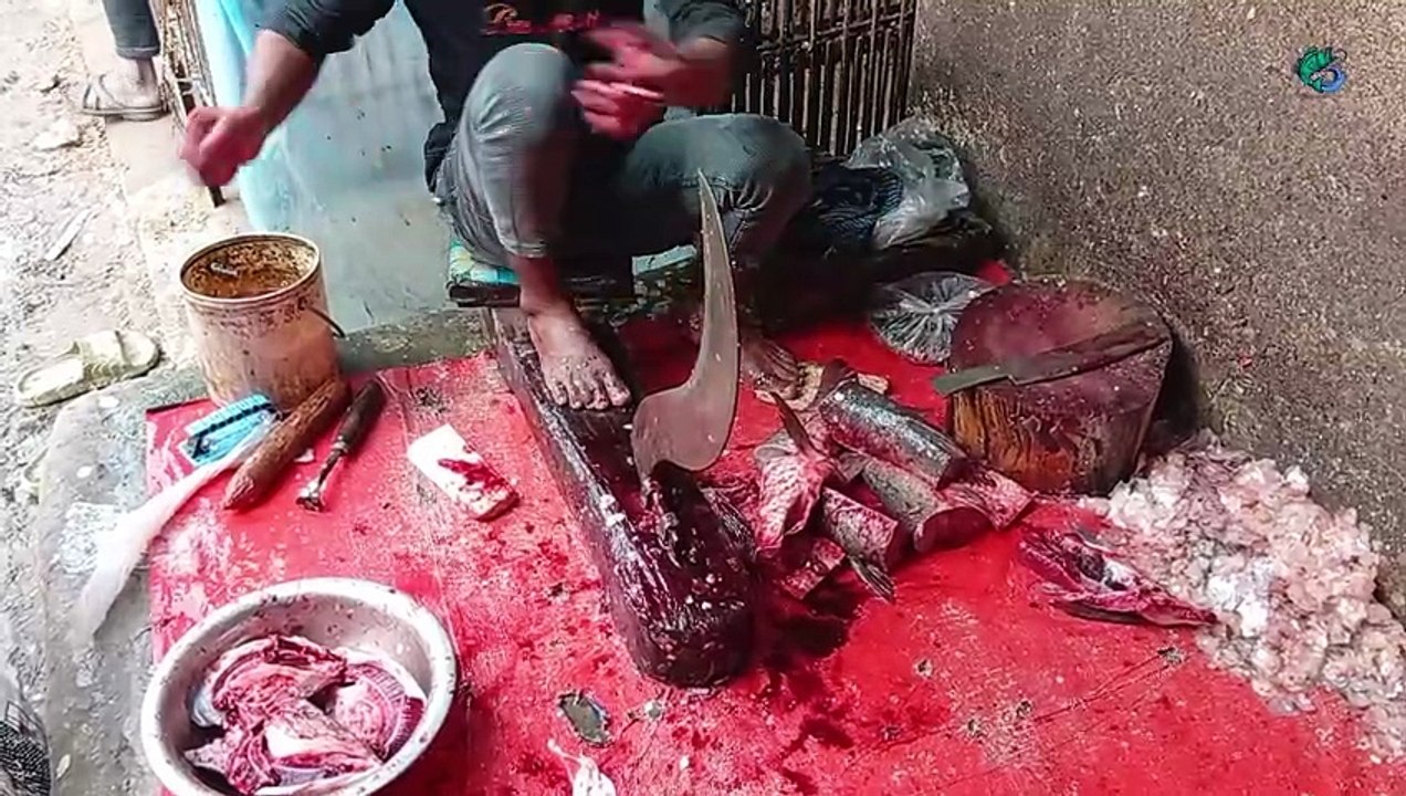 Incredible Fish Cutting Skills  | Expert Fish Fillet in Bangladesh